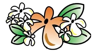 Aloha Island Grille